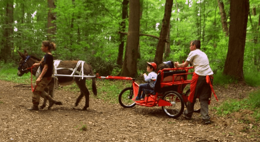 Portrait : l’association Biodivercity